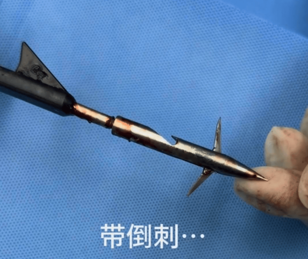 教育局回应“一教师用弓箭射杀小狗”:不实<strong></p>
<p>比特币现在价格</strong>,小狗进学校前就被射伤