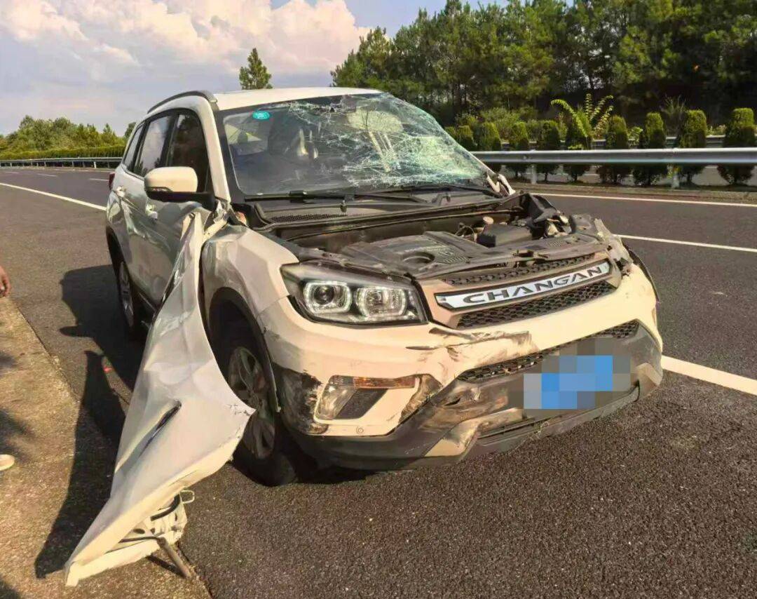 “我撒谎天打雷劈!”男子高速突然强行变道致翻车<strong></p>
<p>比特币现在价格</strong>,反诬赖对方