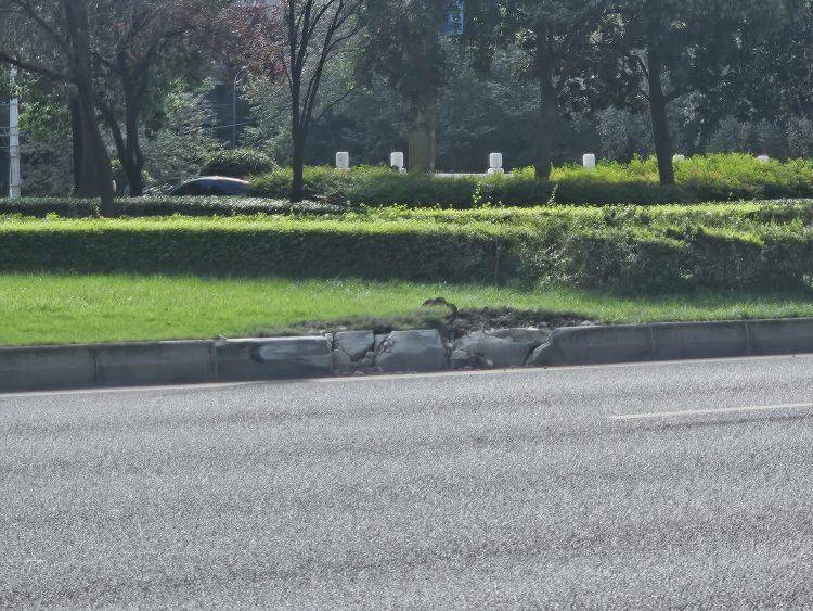 成都发生一起严重交通事故<strong></p>
<p>比特币实时</strong>,上游新闻实地探访:燃烧留下的印记仍在