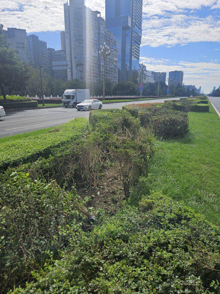 成都发生一起严重交通事故<strong></p>
<p>比特币实时</strong>,上游新闻实地探访:燃烧留下的印记仍在