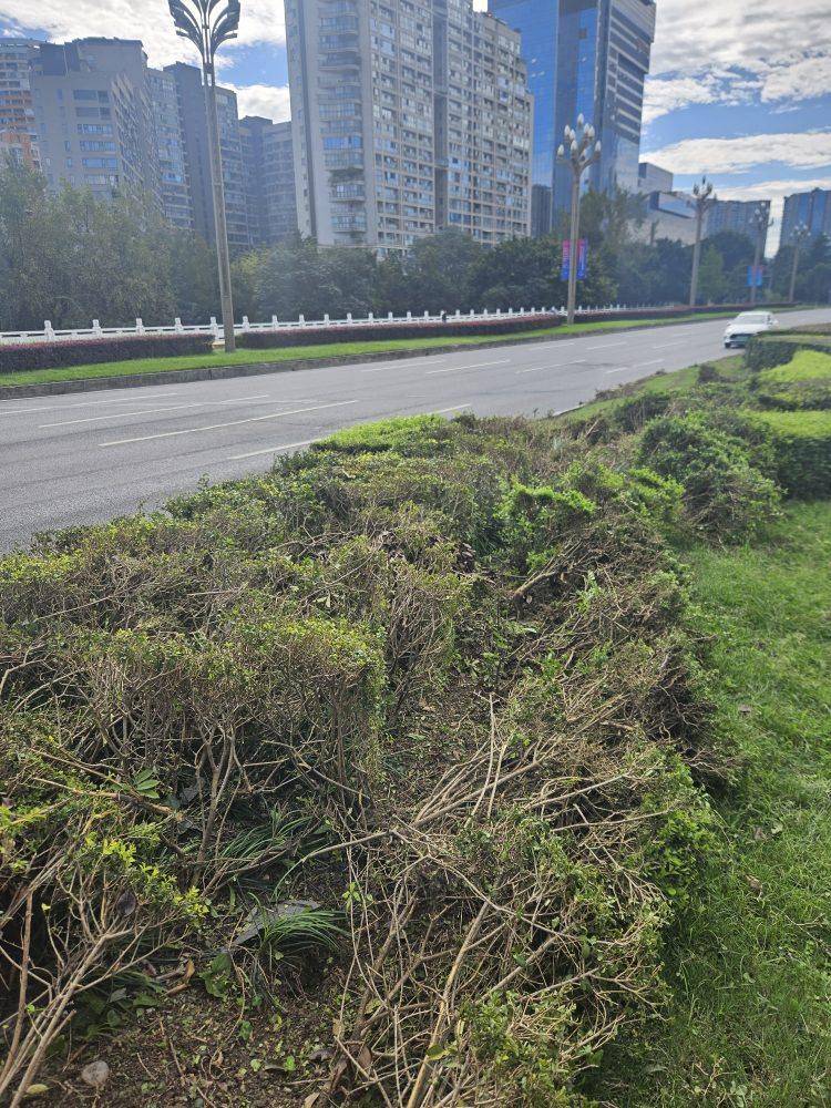 成都发生一起严重交通事故<strong></p>
<p>比特币实时</strong>,上游新闻实地探访:燃烧留下的印记仍在