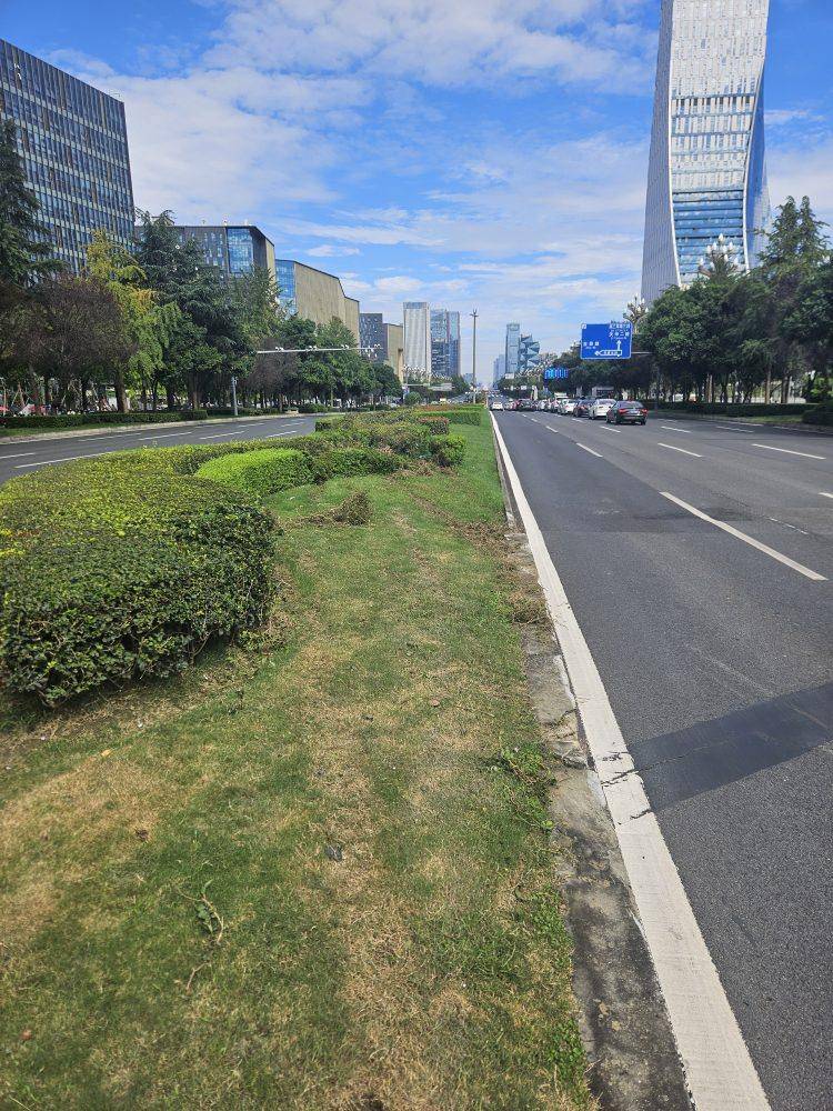 成都发生一起严重交通事故<strong></p>
<p>比特币实时</strong>,上游新闻实地探访:燃烧留下的印记仍在