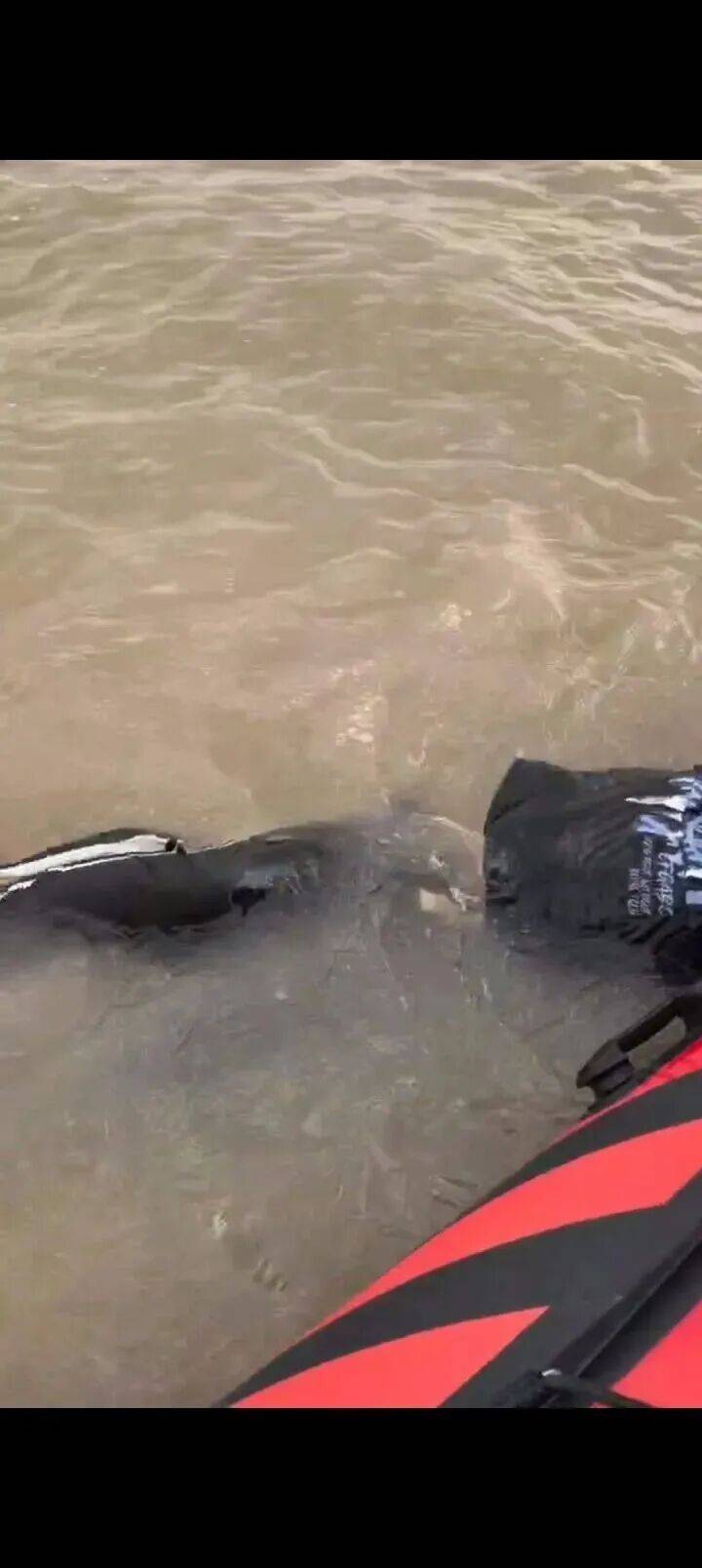 230斤重小伙酒后落水<strong></p>
<p>比特币实时</strong>，漂浮7小时终获救……