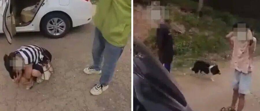 深圳一市民突遭马蜂围袭!已进入高发期<strong></p>
<p>比特币实时</strong>,千万别招惹!