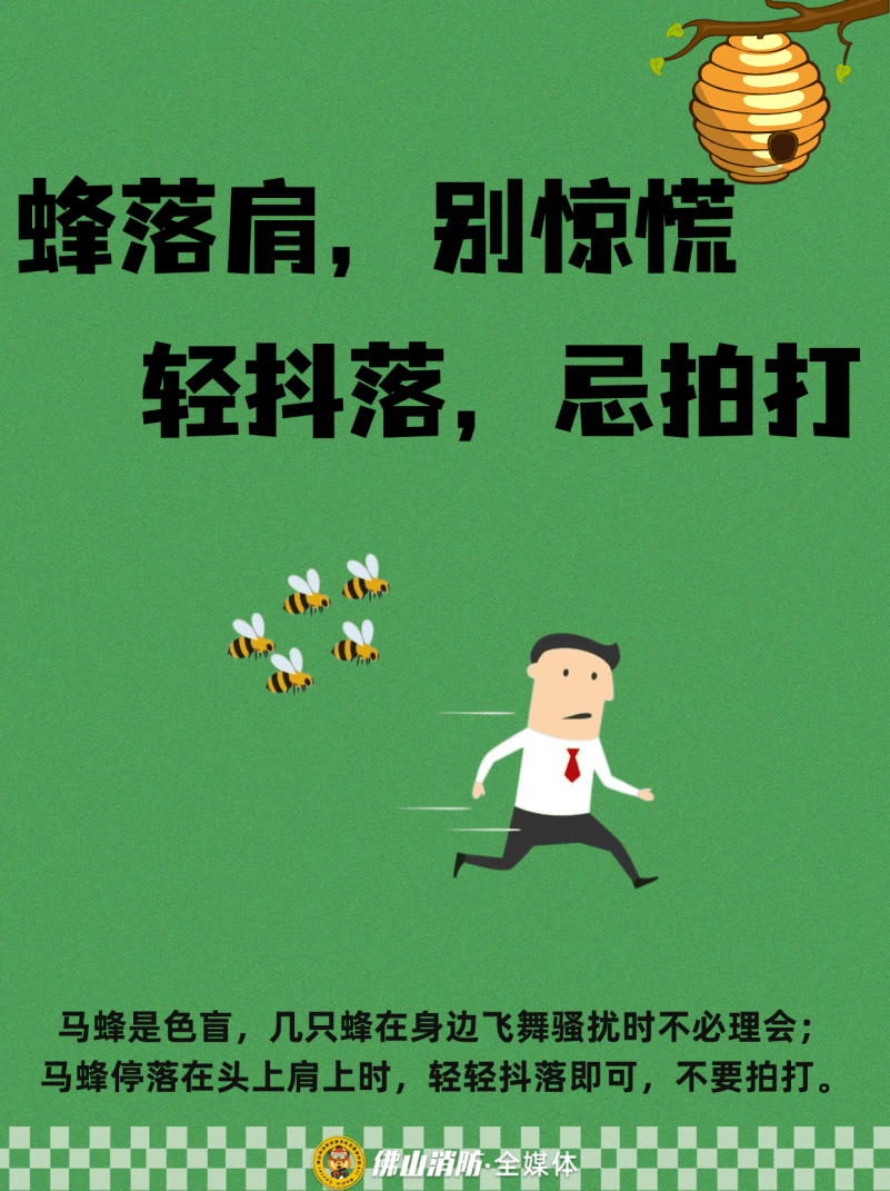 深圳一市民突遭马蜂围袭!已进入高发期<strong></p>
<p>比特币实时</strong>,千万别招惹!