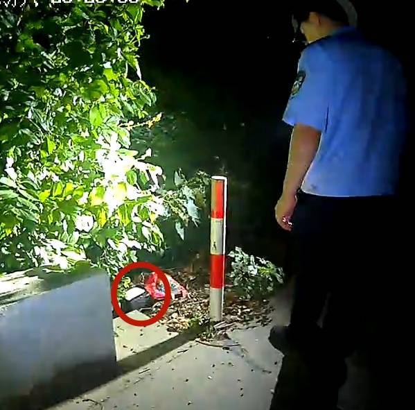 浙江一姑娘以奶茶为记号<strong></p>
<p>2015年比特币价格</strong>,竟然在草丛里藏了11万现金!