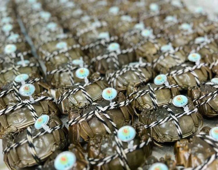 武汉江夏一地大闸蟹大量上市<strong></p>
<p>购买比特币</strong>，日产1000斤当天售完，每只螃蟹有自己的“身份证”，吃深海小黄鱼长大