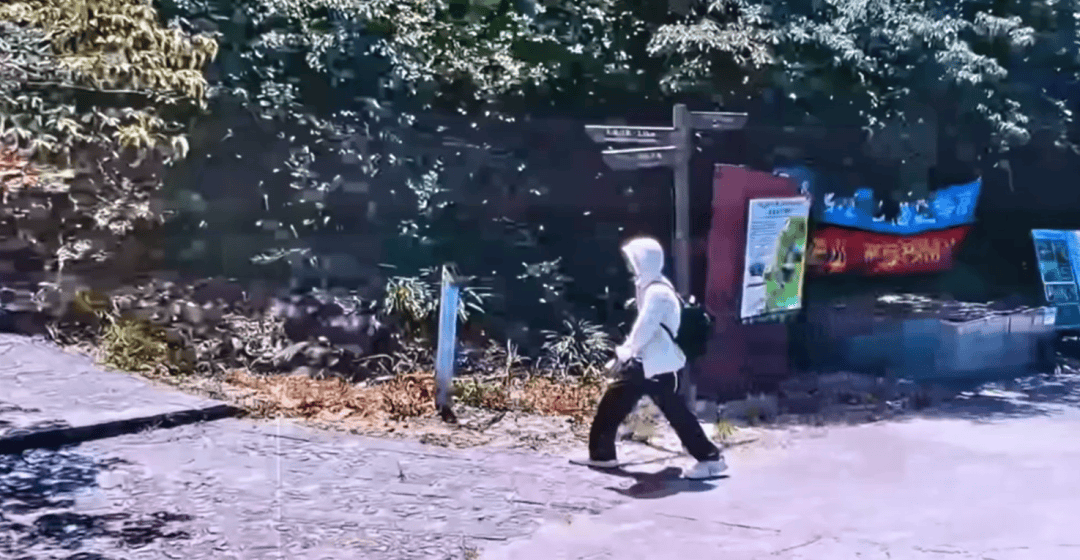 深圳登山失联约70天<strong></p>
<p>比特币视频</strong>,27岁男子遗体疑被找到已遇难,其位于一块大石头下,家属回应