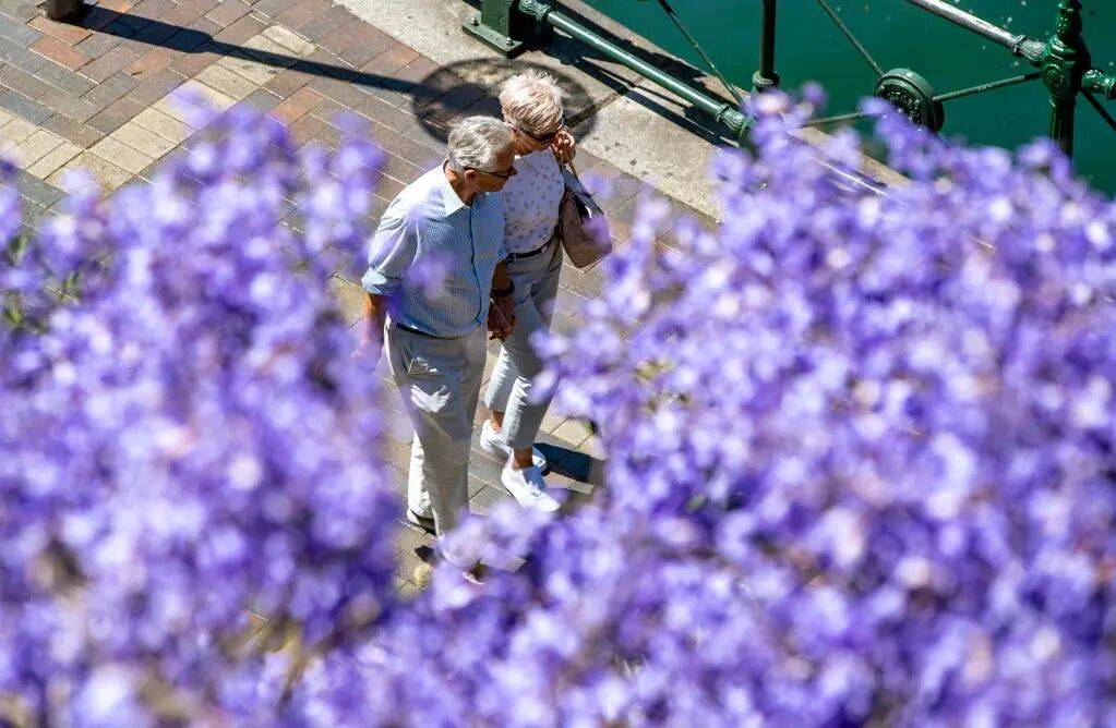 别说自己老了<strong></p>
<p>比特币视频</strong>,大脑功能或60岁时达巅峰