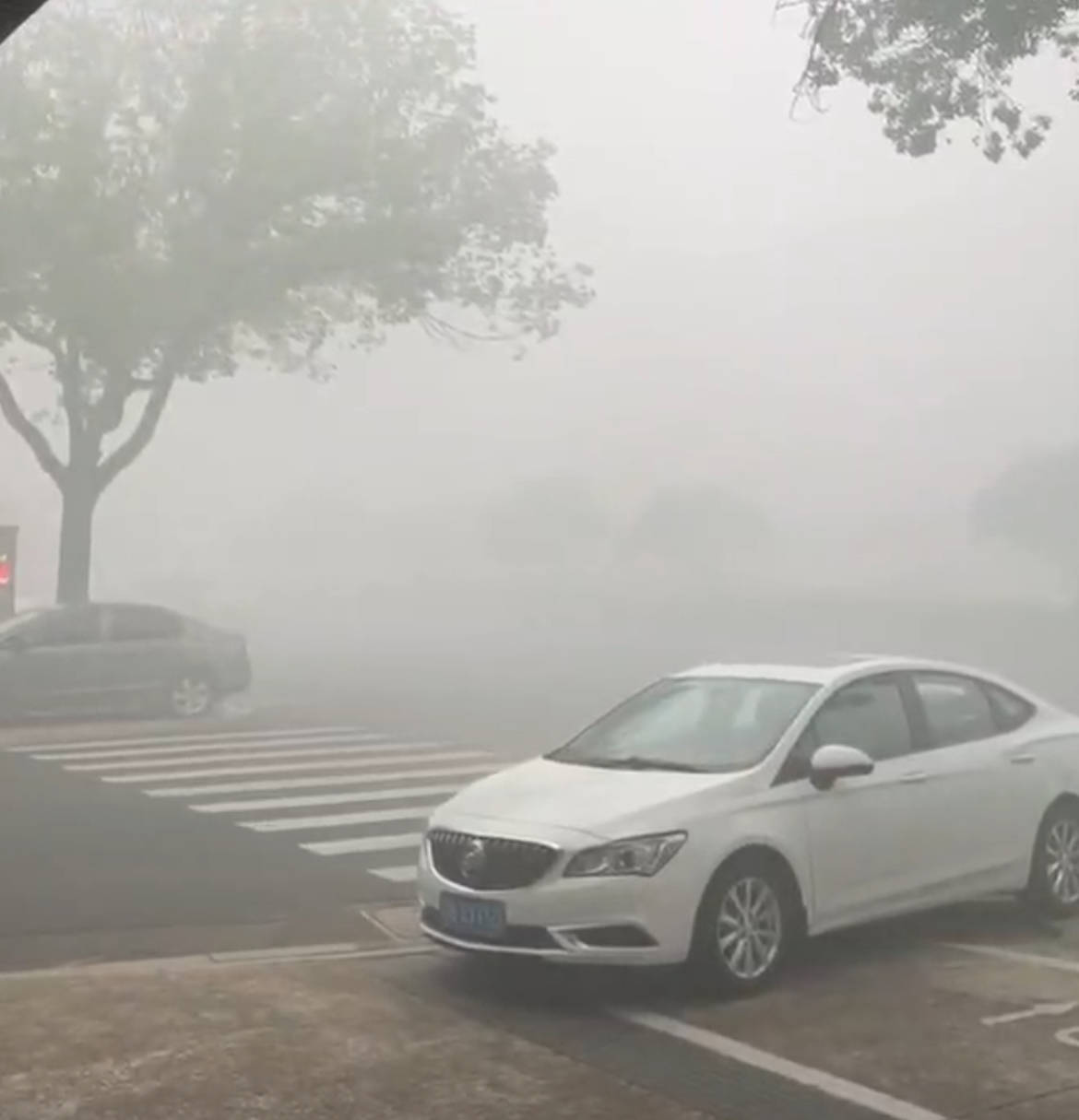 江苏一化工厂发生火灾<strong></p>
<p>比特币视频</strong>,现场燃起冲天浓烟街道被烟雾笼罩,当地:将通报,未致人员伤亡