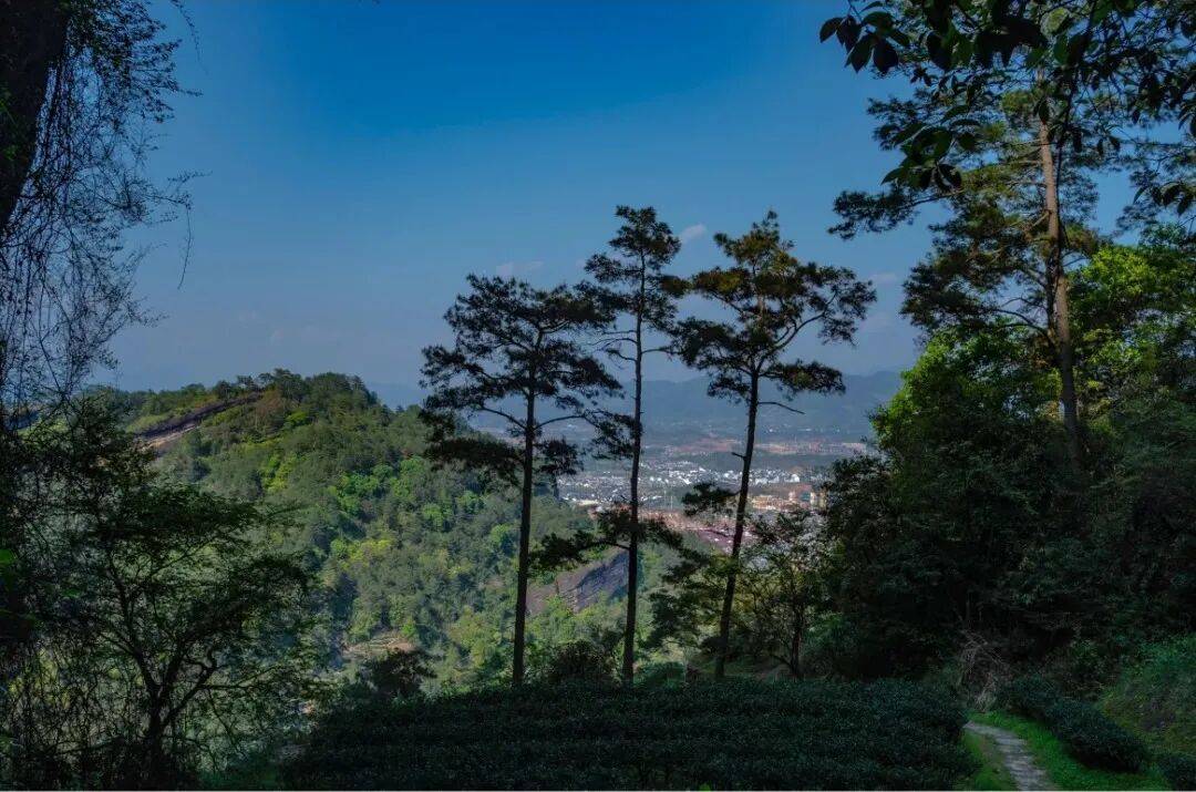 为什么年轻人迷上了爬山? | 秋高气爽<strong></p>
<p>比特币交易所</strong>,是时候出发了→