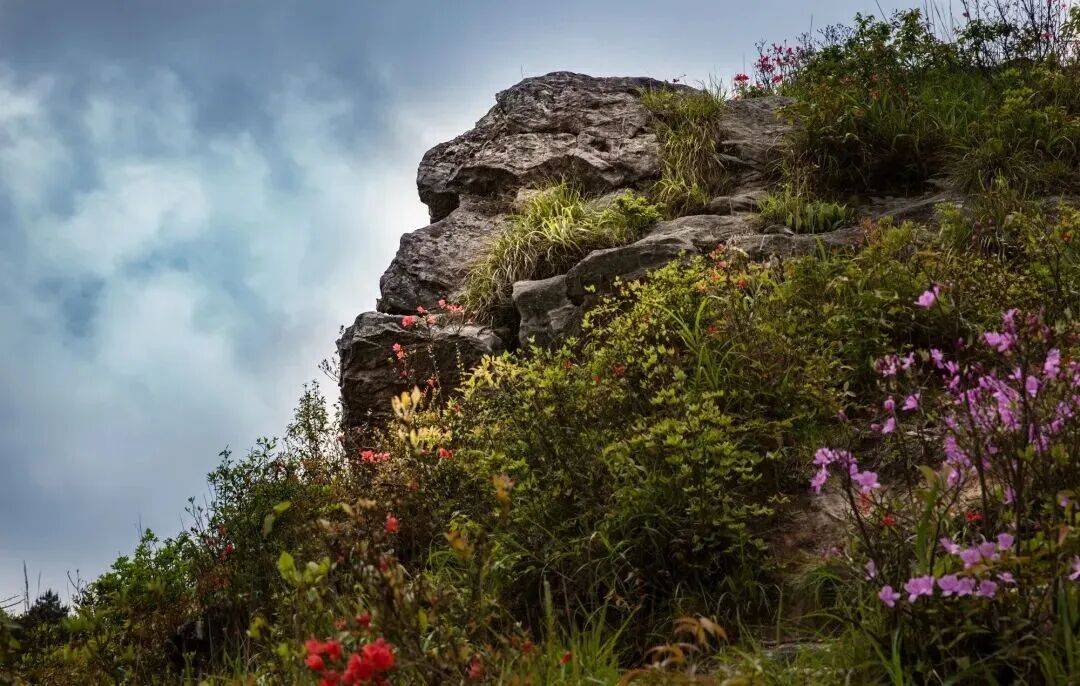 为什么年轻人迷上了爬山? | 秋高气爽<strong></p>
<p>比特币交易所</strong>,是时候出发了→