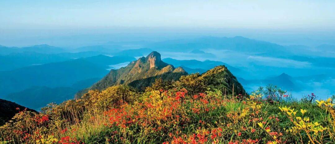 为什么年轻人迷上了爬山? | 秋高气爽<strong></p>
<p>比特币交易所</strong>,是时候出发了→