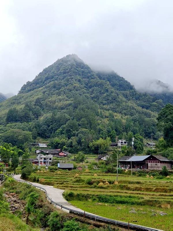 推窗见梯田<strong></p>
<p>比特币交易所</strong>!梧桐山民宿:把日子过成诗