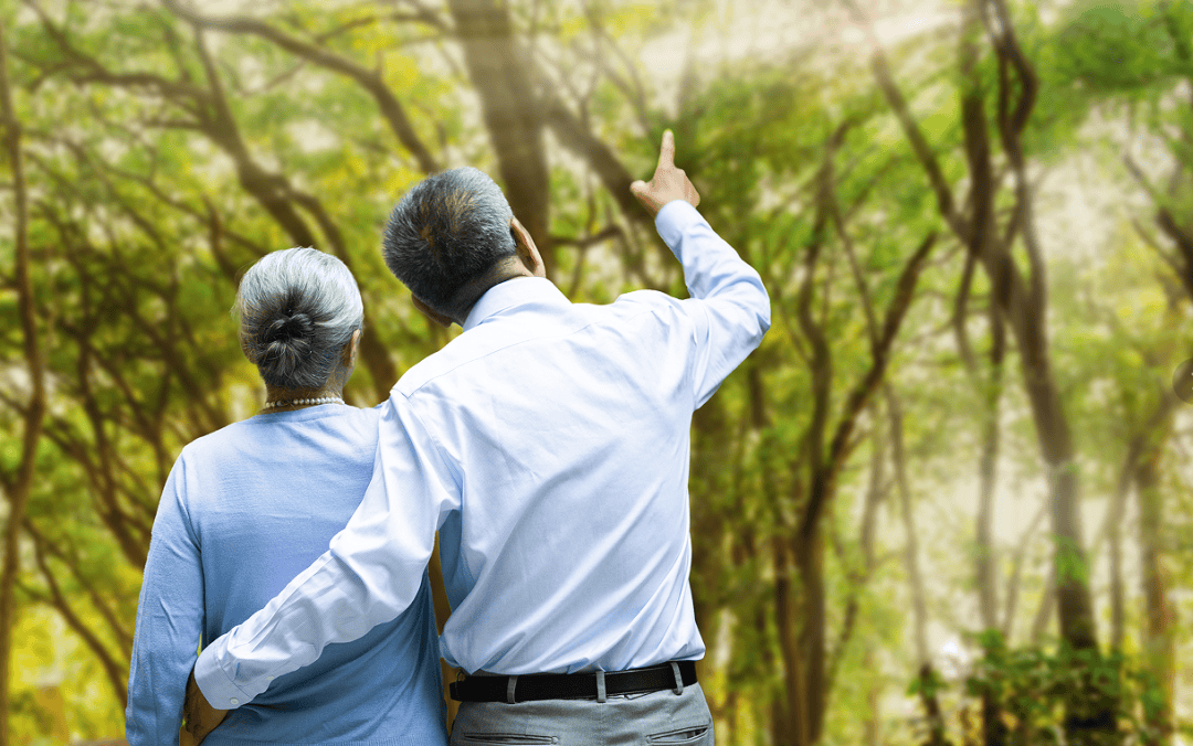 敬老月护“钱袋子”丨远离非法金融<strong></p>
<p>比特币交易所</strong>,守住幸福晚年