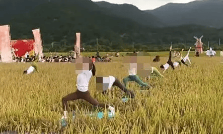 媒体:稻田开镰仪式<strong></p>
<p>比特币交易所</strong>,表演哪门子瑜伽?