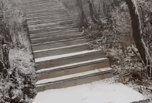 石家庄下雪了<strong></p>
<p>比特币k线图</strong>!河北雨雪上线!新一股冷空气在路上……