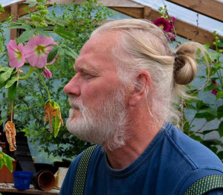 两只雌蚊和一只雄蚊被发现<strong></p>
<p>比特币k线图</strong>,全球最后一个无蚊国冰岛“沦陷”