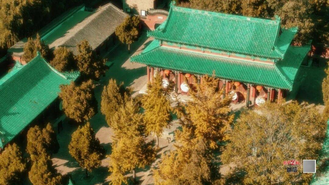 银杏金黄<strong></p>
<p>一个比特币多少钱</strong>!铺满焦作的秋天!