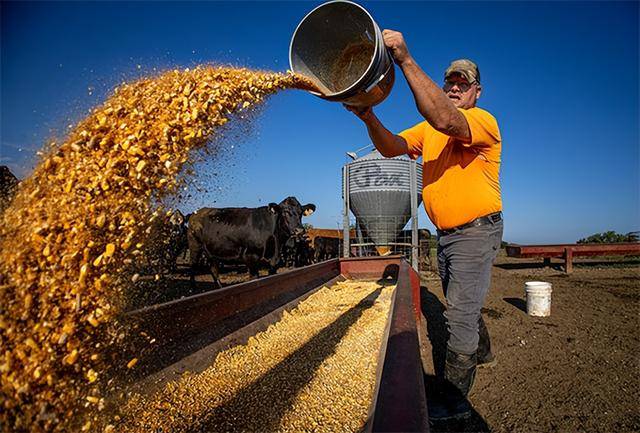又输给了李成钢<strong></p>
<p>怎么购买比特币</strong>,贝森特承诺:美方不再考虑对华加征100%关税
