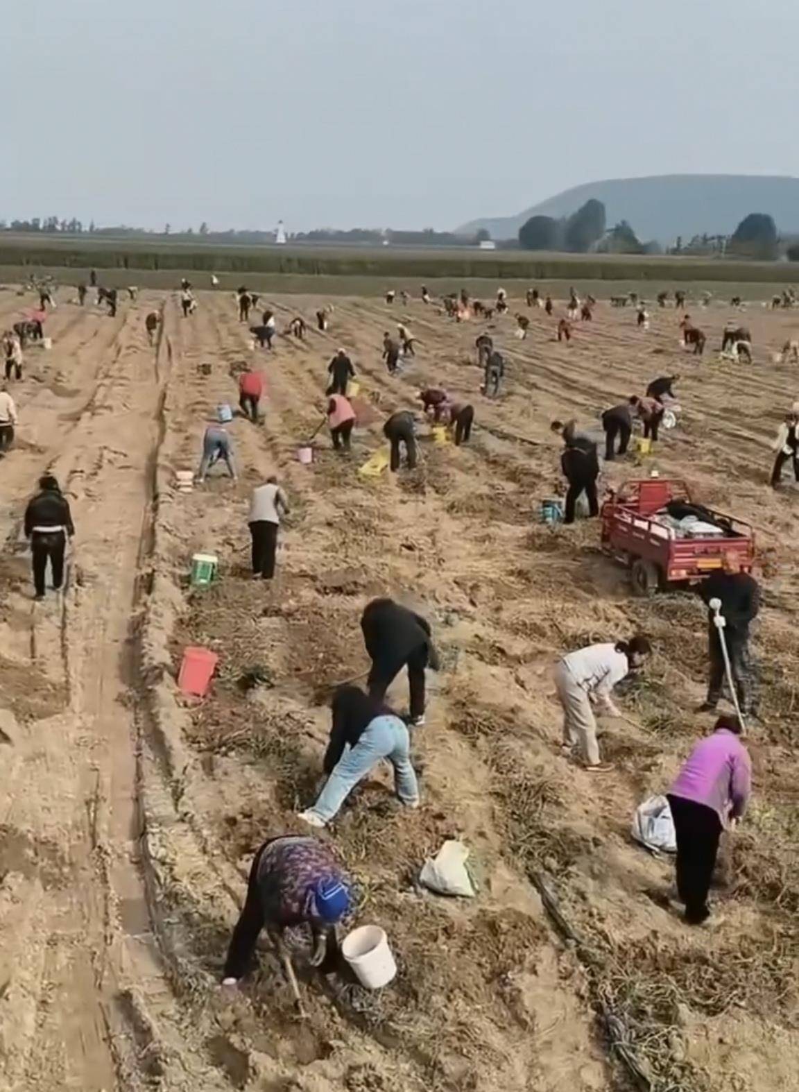 数百人冲进地里捡红薯<strong></p>
<p>比特币最新价</strong>,田主称是秋收剩下的,网友:免费翻地,利人利己