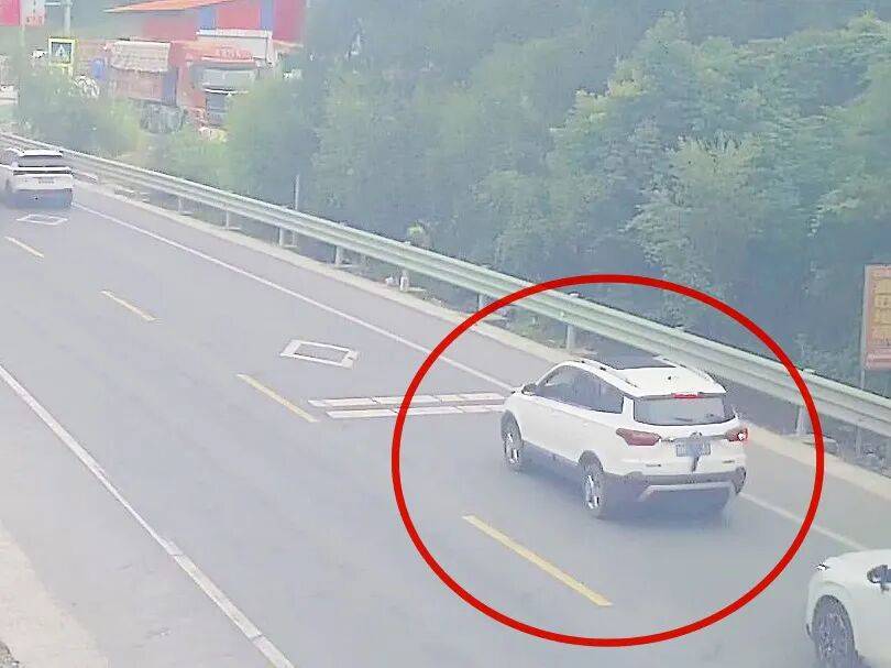 司机将两只老鼠挂后窗雨刮器上:“回家给猫吃”<strong></p>
<p>怎么买比特币</strong>,交警:遮挡车牌扣9分