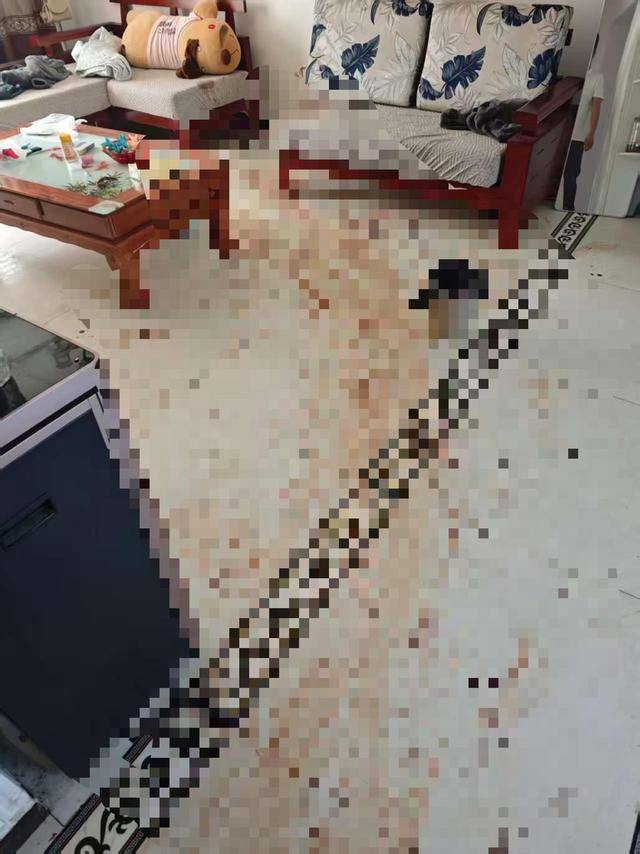 “女子出租屋遭男友持刀杀害”案明日开庭<strong></p>
<p>比特币现在多少钱</strong>,家属发声:凶手从未道歉,我们不会谅解