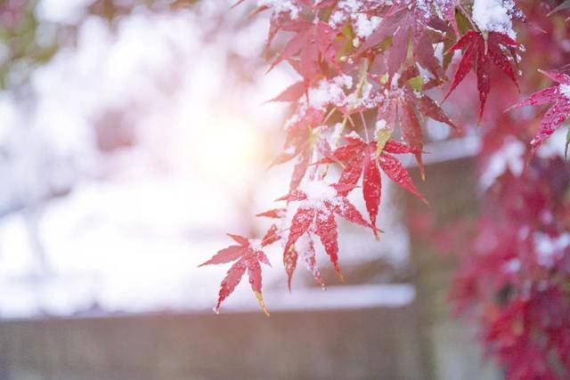 百年难遇“早立冬”来了<strong></p>
<p>比特币现在多少钱</strong>!有啥讲究?早看早准备!