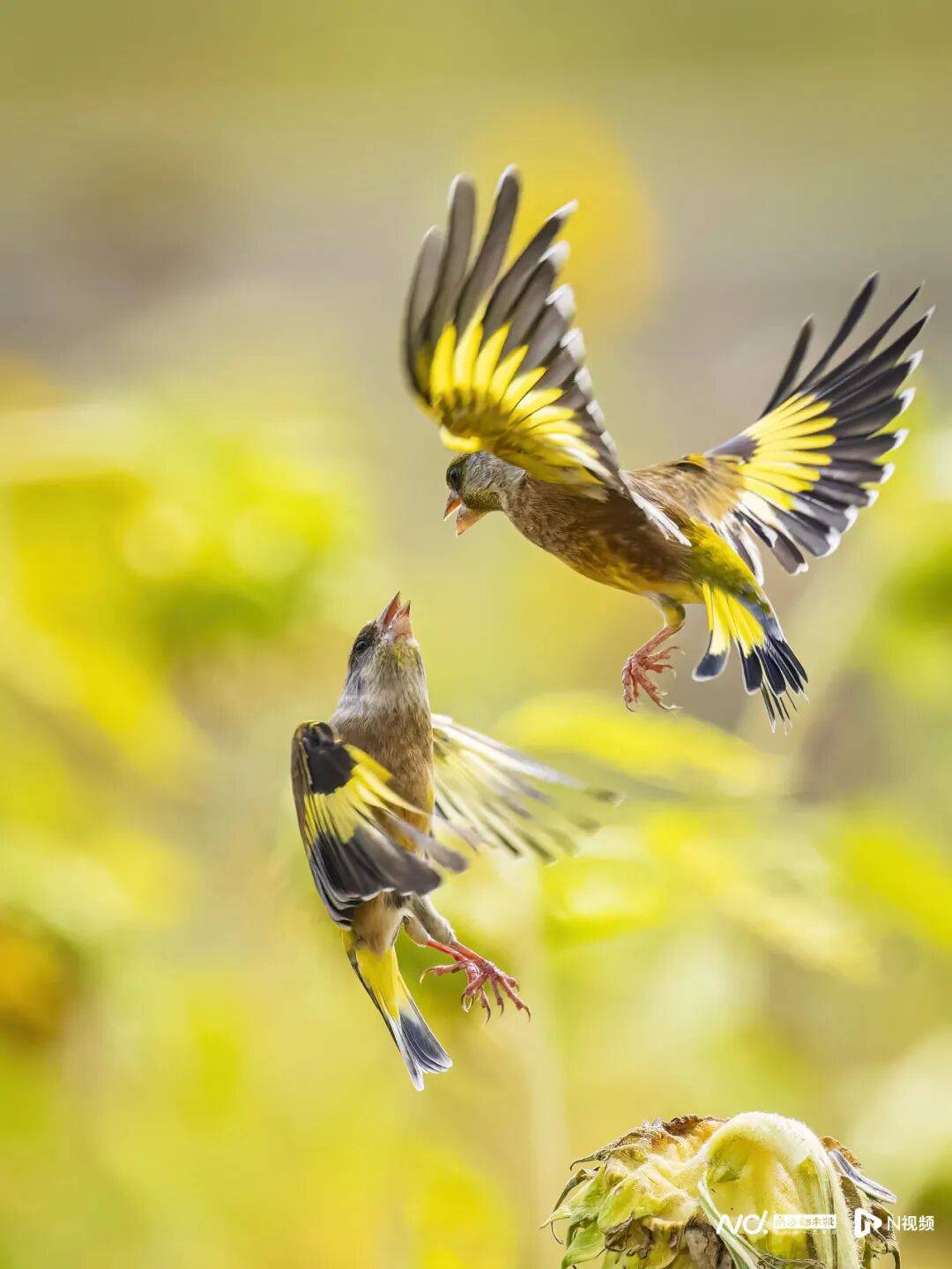 东莞最新发布:将严厉打击这些行为<strong></p>
<p>比特币现在多少钱</strong>!