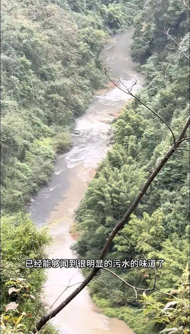 重庆通报：坚决查处<strong></p>
<p>比特币怎么购买</strong>，绝不姑息