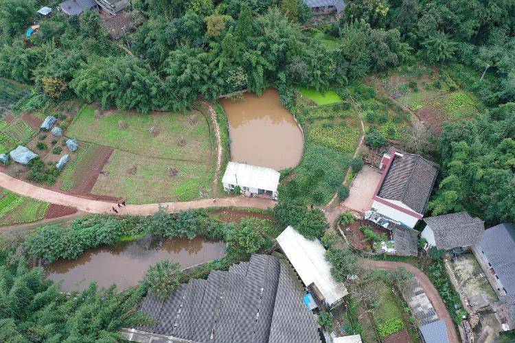 央视曝光“杀人蜂”滥养牟利引关注 四川犍为:正联合调查虎头蜂养殖情况