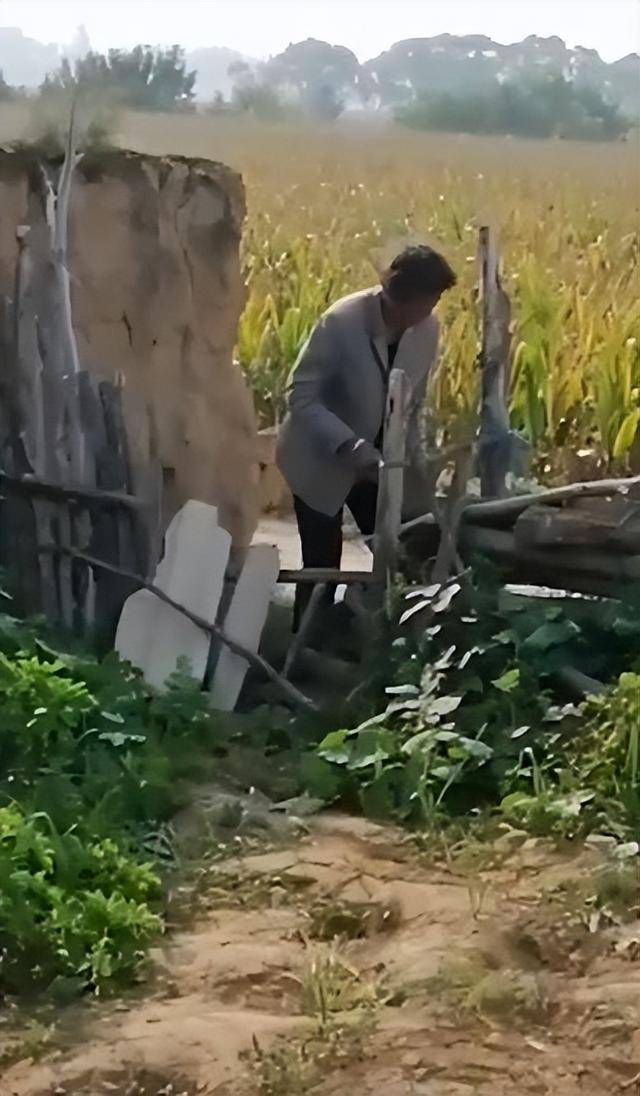 陕西一女子疑因拍亲姑姑偷玉米遭姑父棍杀<strong></p>
<p>比特币交易今日价格</strong>,邻居欲报警也遇害