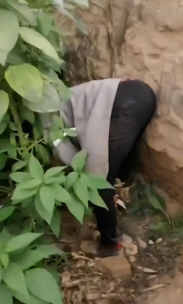 陕西一女子疑因拍亲姑姑偷玉米遭姑父棍杀<strong></p>
<p>比特币交易今日价格</strong>,邻居欲报警也遇害