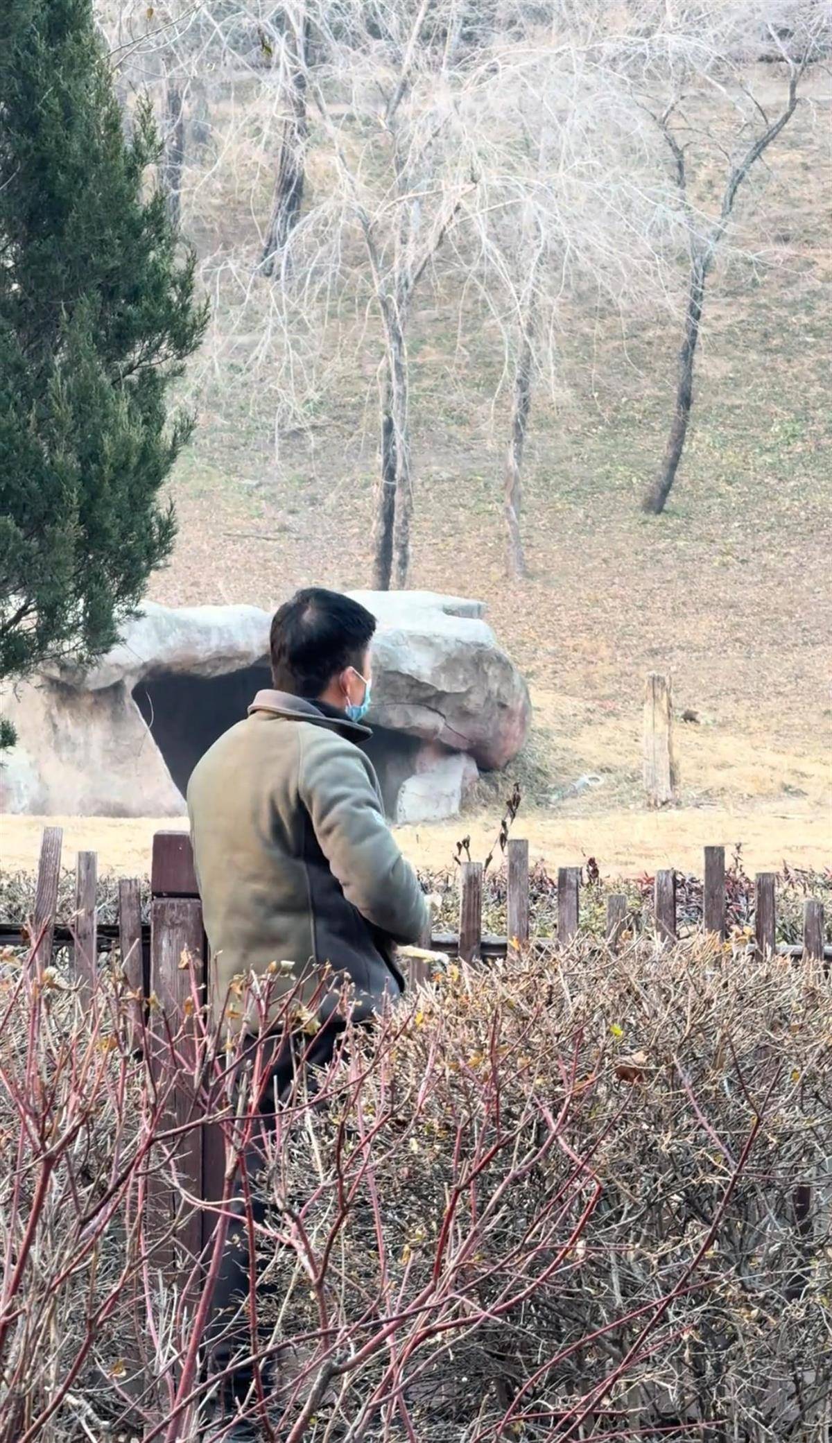 沈阳一男子动物园内用弹弓射老虎<strong></p>
<p>比特币挖矿机</strong>,目击者称其“填装了弹丸”,打完后老虎爬起来了,园方:正在核实情况