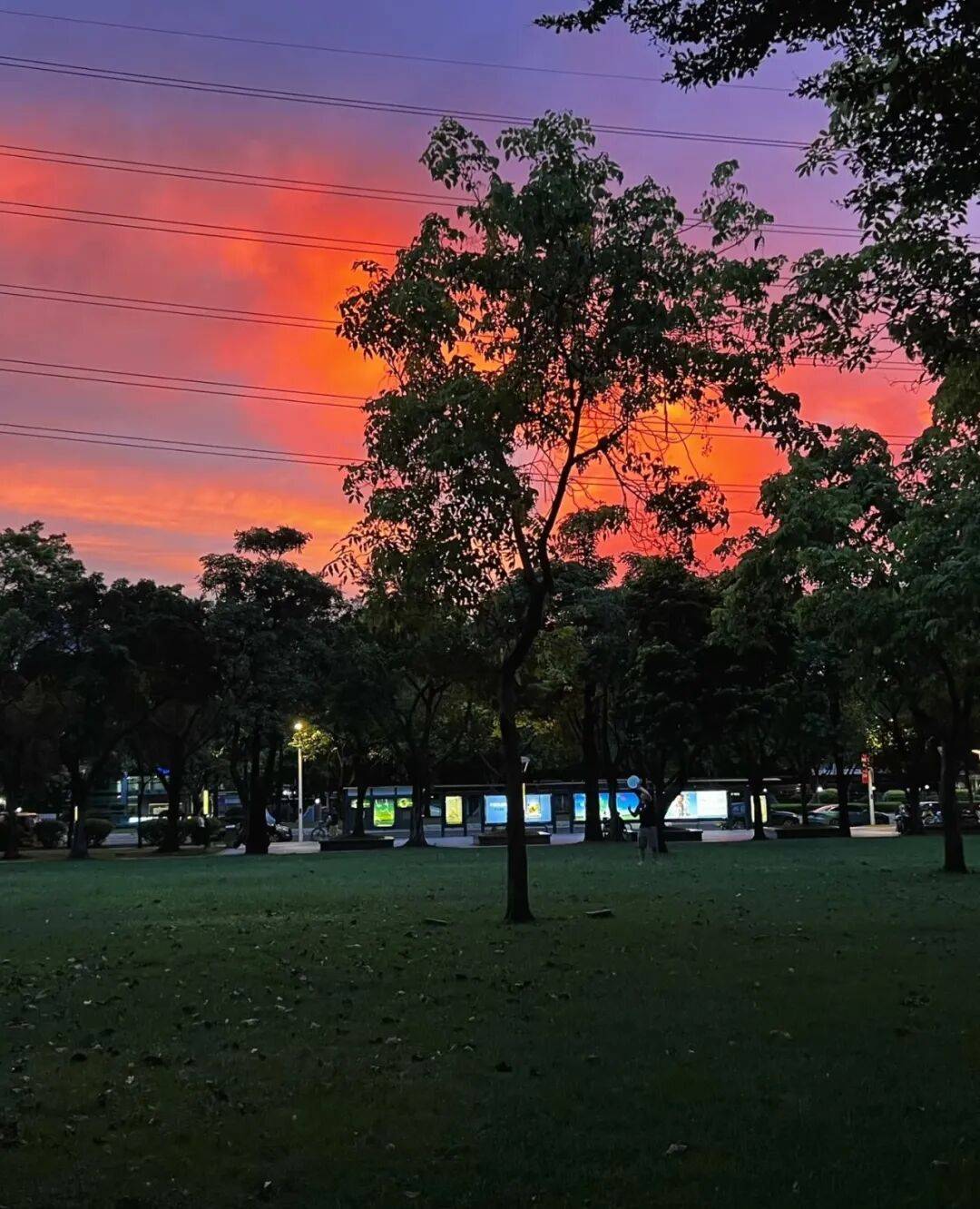 第一批丁克老后<strong></p>
<p>比特币挖矿机</strong>,“伴侣能陪一程,但最后都要靠自己”