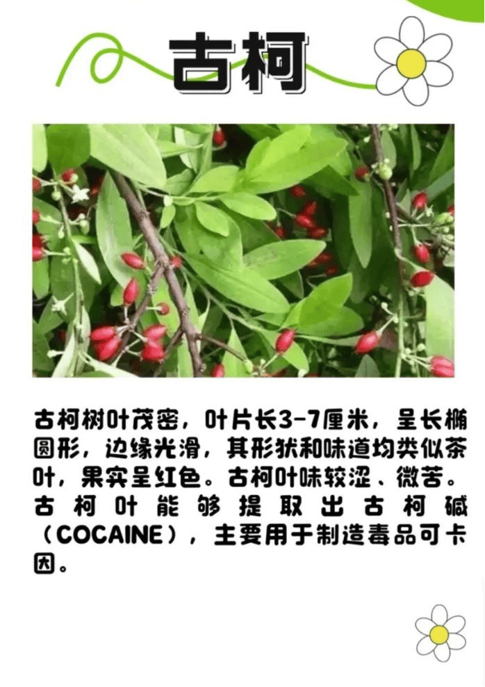 悬赏1500万美金!前奥运选手涉多起案件<strong></p>
<p>一个比特币</strong>,被列入十大通缉犯