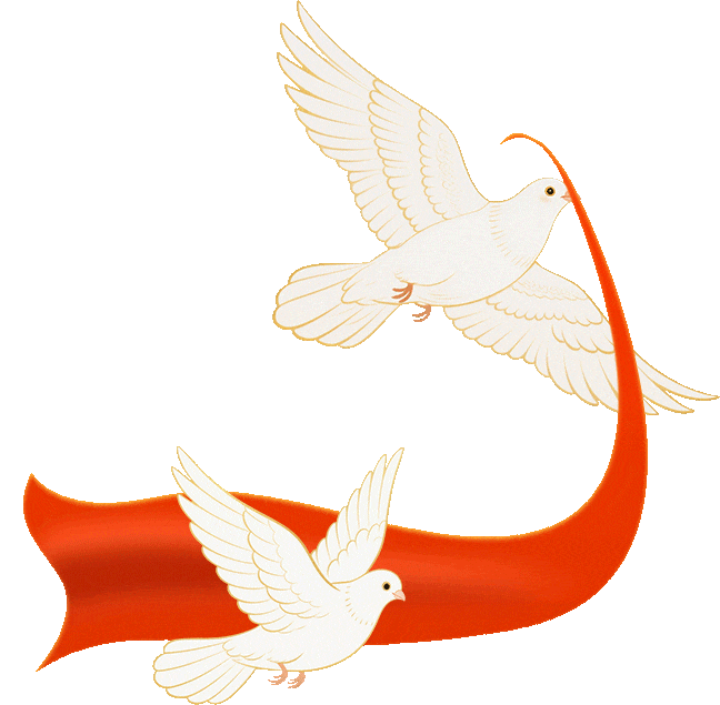 银川市红十字会传达学习市委十五届十四次全会精神