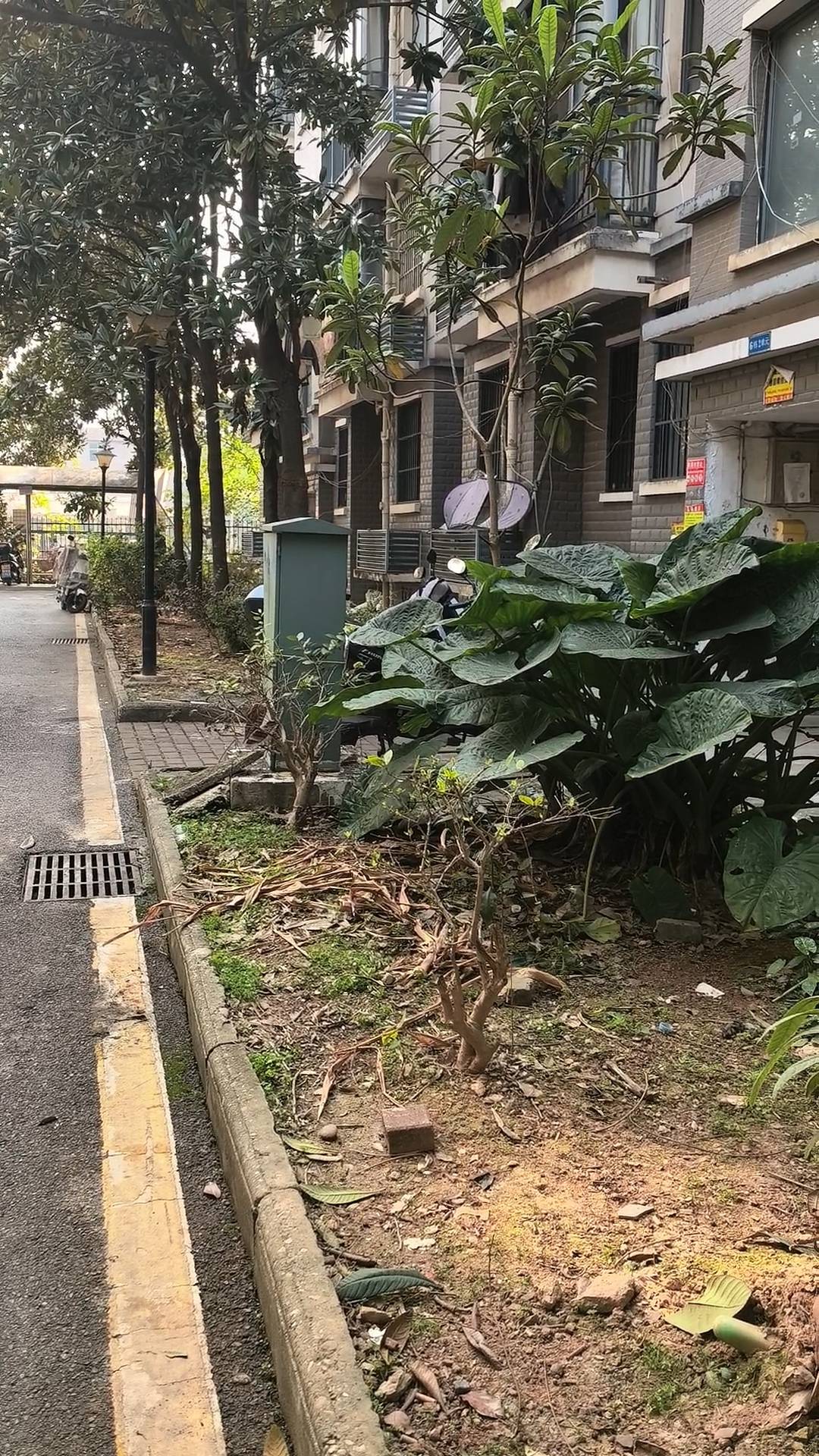 株洲女子夜间遭同小区大狗扑咬<strong></p>
<p>比特币一个多少钱</strong>，男子从二楼冲下死死摁住肇事狗，众居民：一定要表扬他