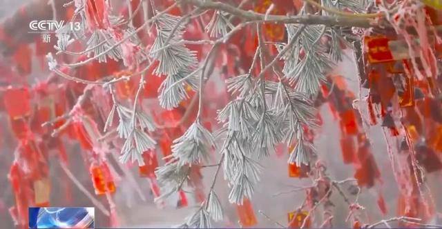 我国已经进入拉尼娜状态<strong></p>
<p>比特币价格走势图</strong>,专家:可能出现冬春连旱