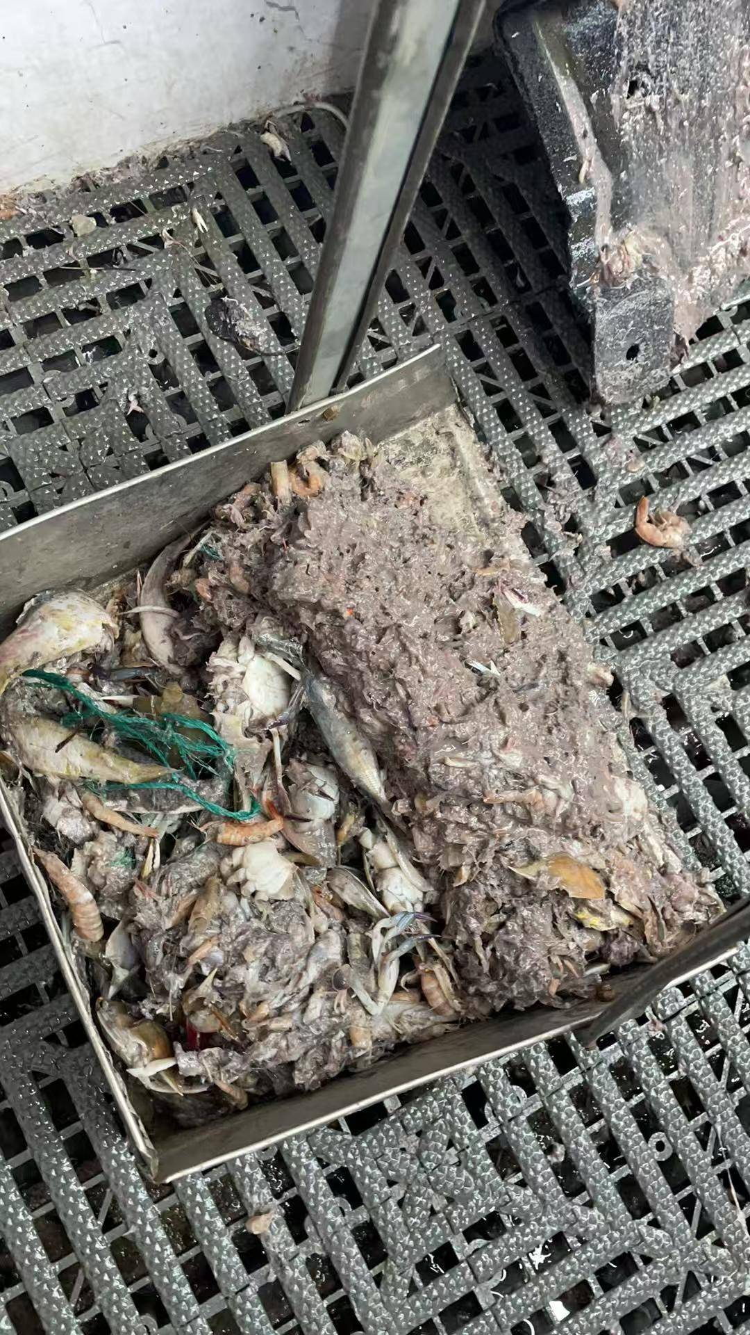 紫牛头条|40余车辆遭高速海鲜废料“臭袭”<strong></p>
<p>比特币行情k线图</strong>,交警称“非交通事故”,车主维权陷两难