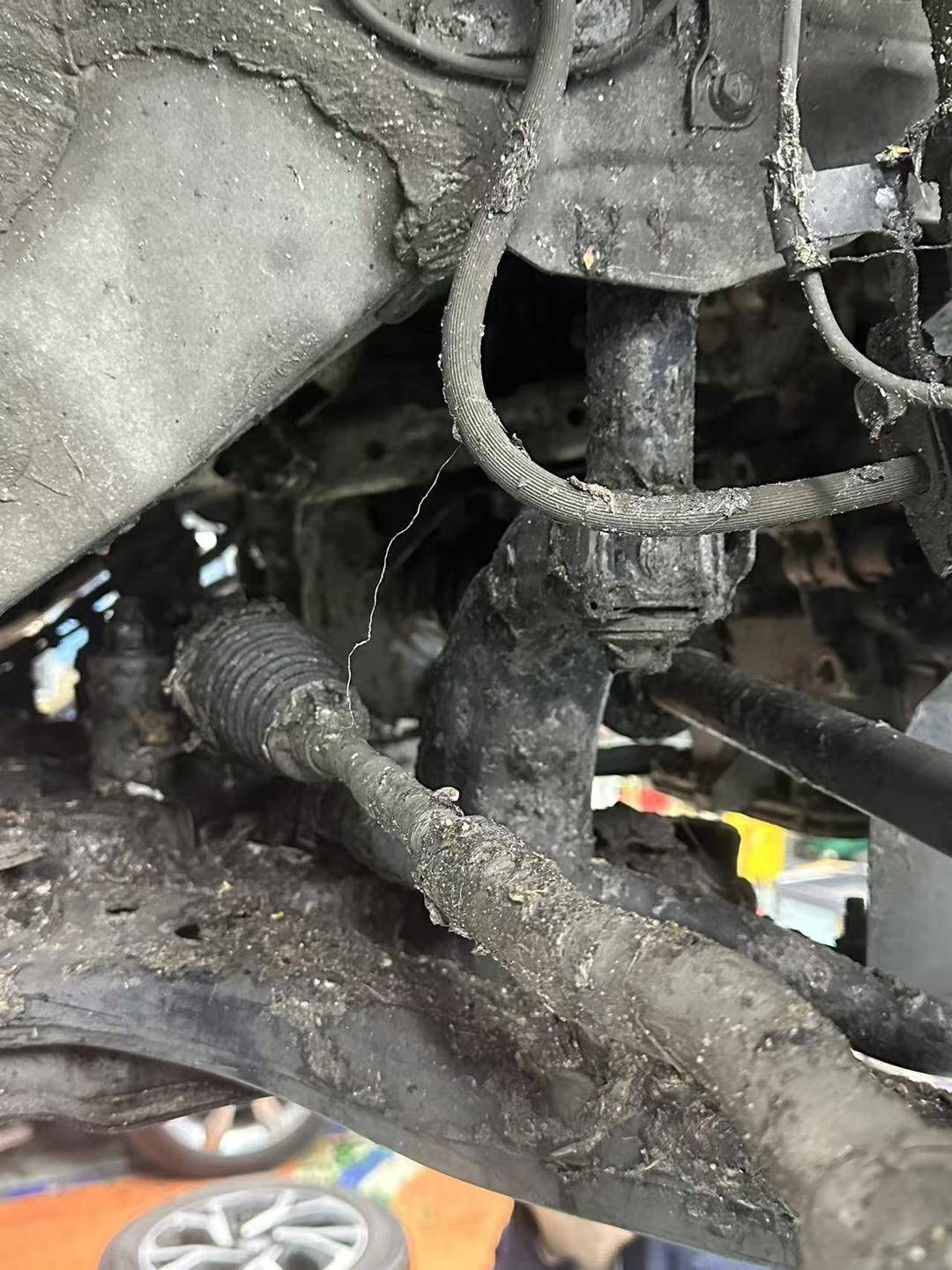 紫牛头条|40余车辆遭高速海鲜废料“臭袭”<strong></p>
<p>比特币行情k线图</strong>,交警称“非交通事故”,车主维权陷两难