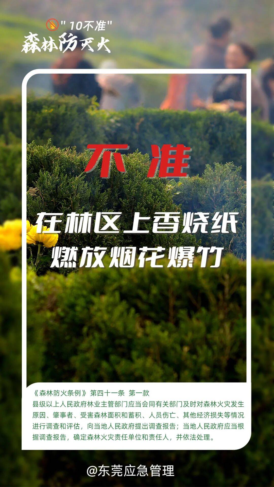 深圳坪山区突发山火<strong></p>
<p>比特币在哪里买卖交易</strong>，最新通报：明火已扑灭，无人员伤亡