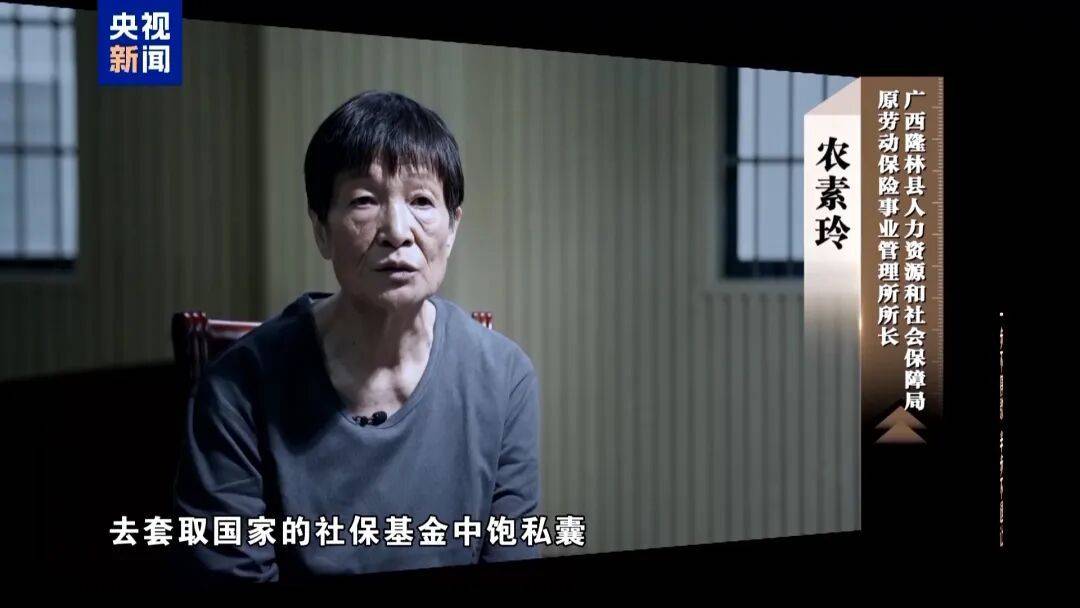 人社局工作人员发现系统漏洞，拉所长下水骗养老金，两人退休后惶惶不可终日，最终获刑