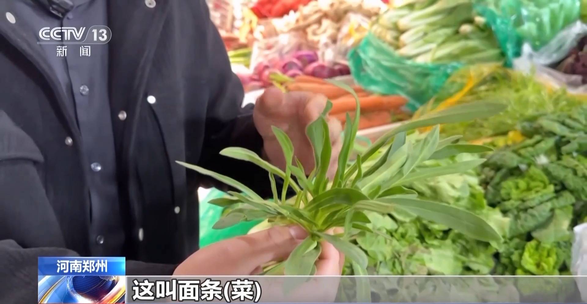 蒸、煎、拌、酿……一口鲜菜如何“锁”住春天<strong></p>
<p>比特币历史最高价格</strong>？