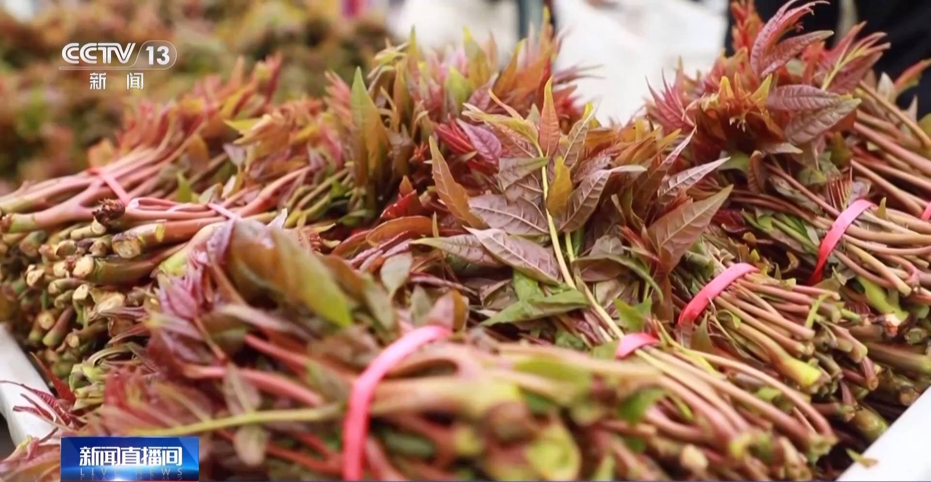 蒸、煎、拌、酿……一口鲜菜如何“锁”住春天<strong></p>
<p>比特币历史最高价格</strong>？