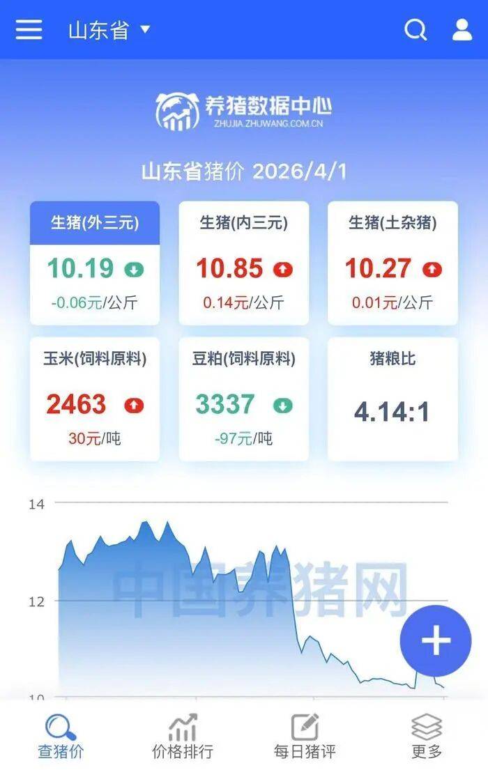 济南猪肉价格“大跌”<strong></p>
<p>比特币下载</strong>，排骨低至“个位数”，记者实探商超和批发市场！有市民感慨价格真便宜