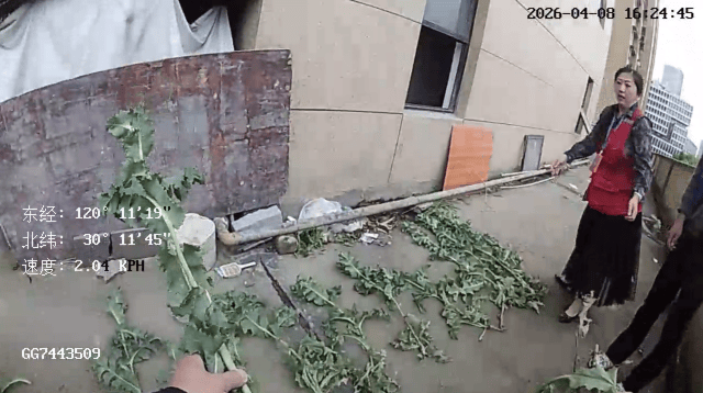 杭州一小区发现35株罂粟！保安巡逻起疑后报警<strong></p>
<p>比特币数量</strong>，警方：2位老人在菜盆、花盆混种，隐蔽性极强，分别罚款300元、400元