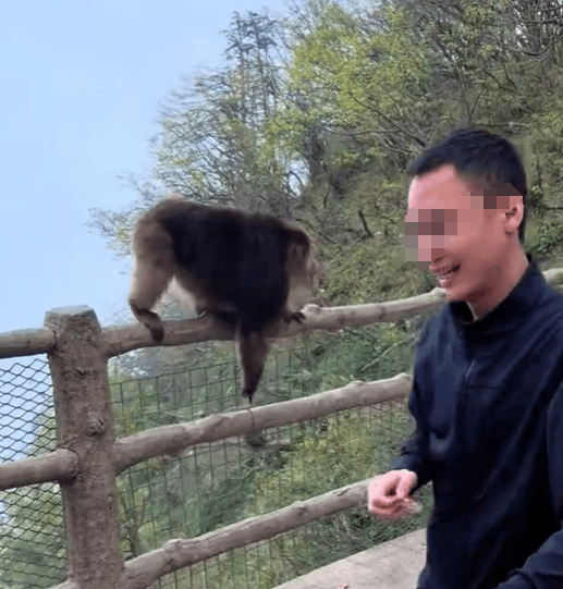 猛推峨眉山猴子的男子已致歉<strong></p>
<p>比特币如何交易</strong>，三年内禁止进入景区！猴子没事