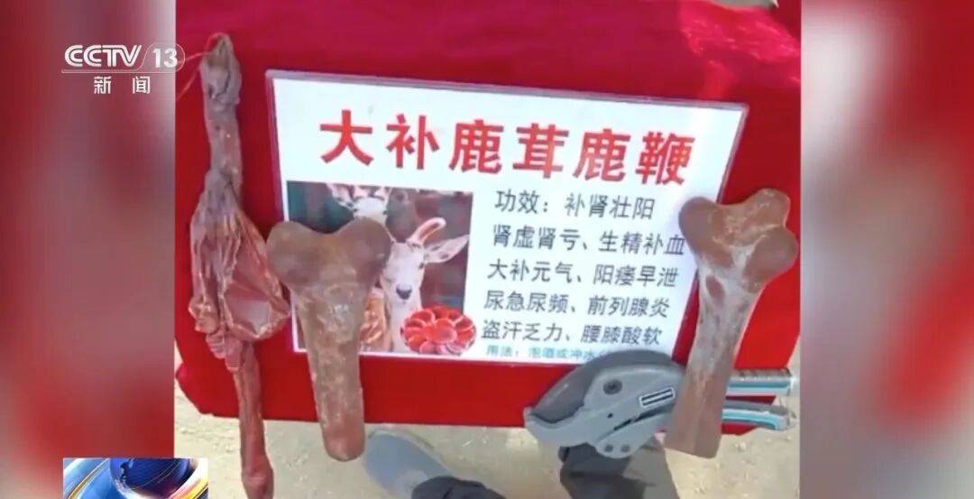 老人不买天价鹿茸被一脚踹翻<strong></p>
<p>比特币交易时间</strong>，南京一团伙暴力威逼老人买单，100多人被骗，涉案金额90余万元，多数老人乖乖回家拿钱，甚至被逼去银行取款