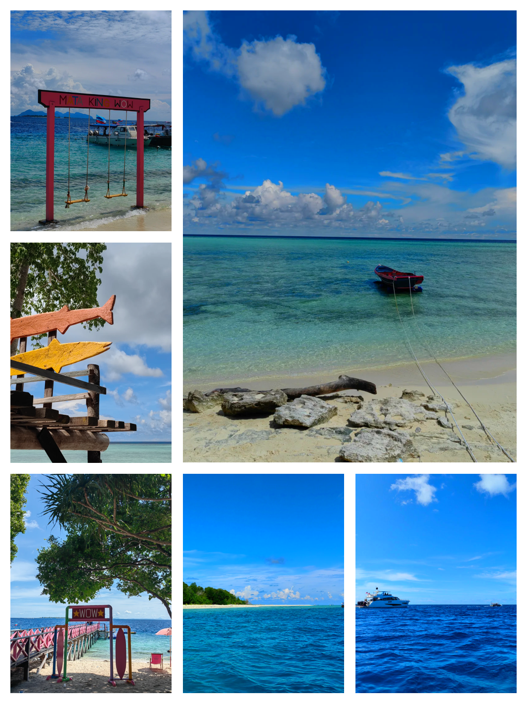 货币与岛(货币与战争内容是真的吗)